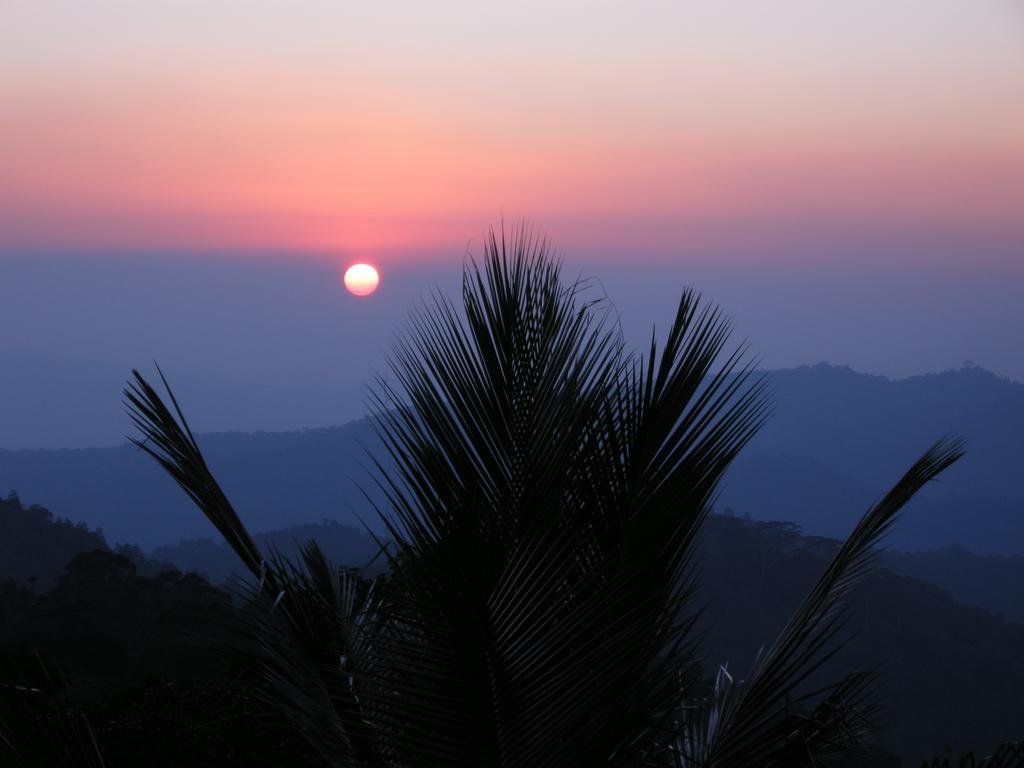 Rangala House Hotel Digana Exterior photo